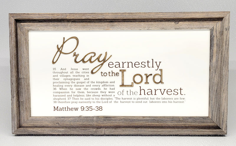 Pray Earnestly | Matthew 9:35‐38
