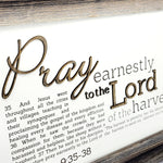 Pray Earnestly | Matthew 9:35‐38