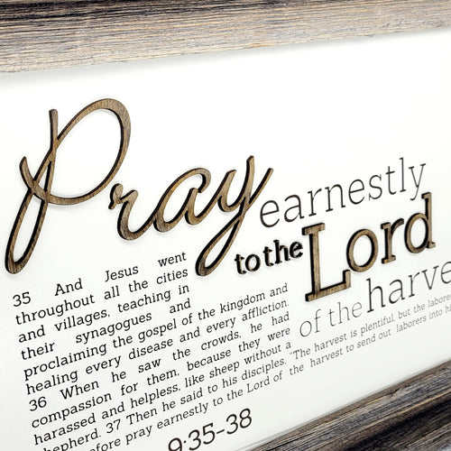 Pray Earnestly | Matthew 9:35‐38