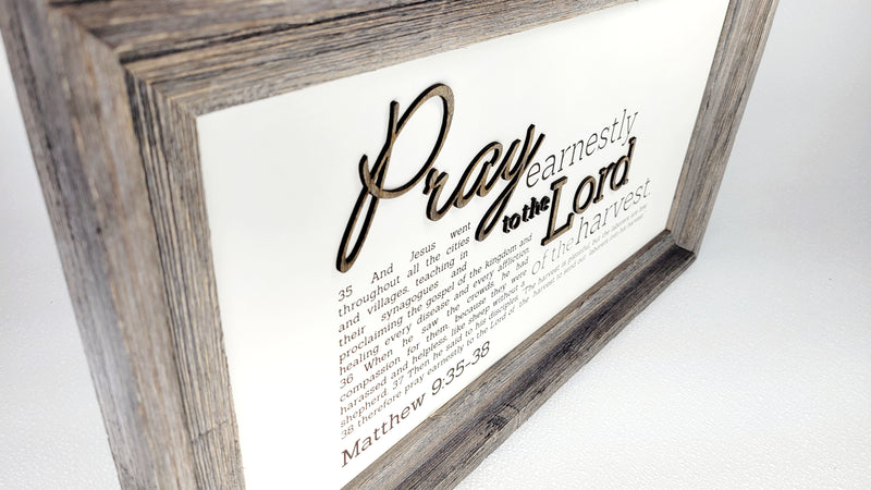 Pray Earnestly | Matthew 9:35‐38