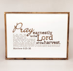 Pray Earnestly | Matthew 9:35‐38