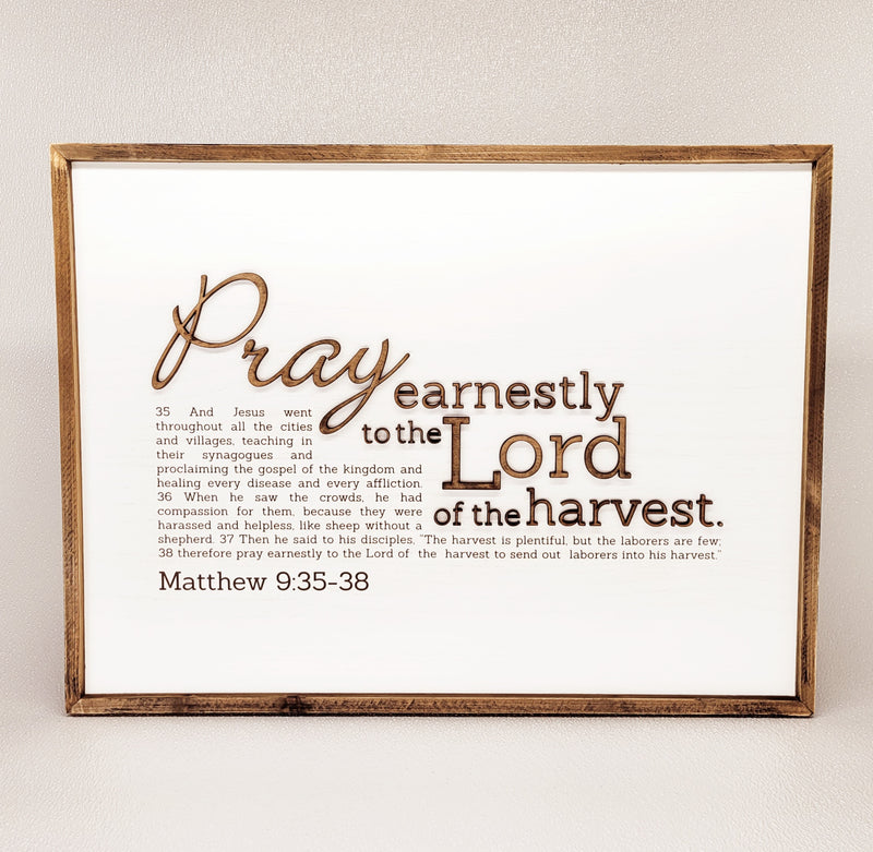 Pray Earnestly | Matthew 9:35‐38
