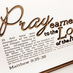Pray Earnestly | Matthew 9:35‐38