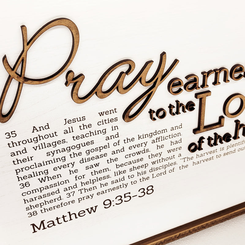 Pray Earnestly | Matthew 9:35‐38