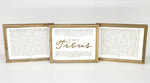 Book of Titus | Set of 3